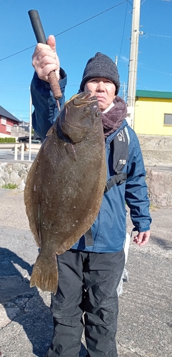 ヒラメの釣果