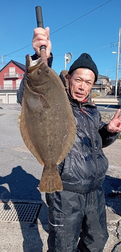 ヒラメの釣果