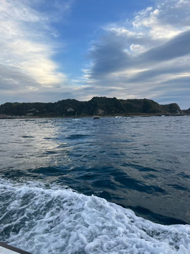 カワハギの釣果