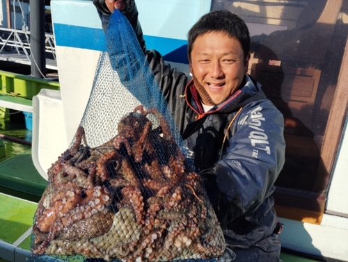 マダコの釣果