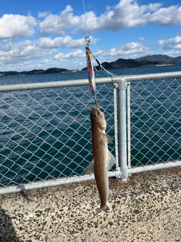 日明海峡釣り公園