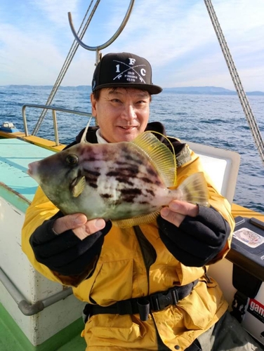 カワハギの釣果