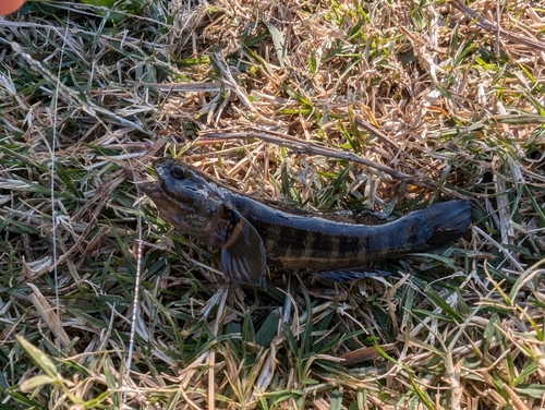 暁ふ頭公園