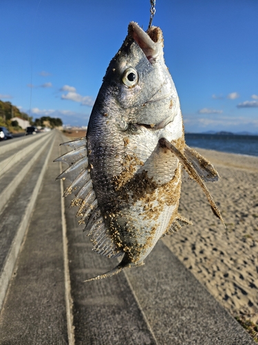 沙美海岸