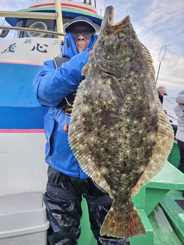 ヒラメの釣果