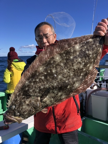 ヒラメの釣果