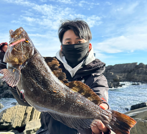 アイナメの釣果