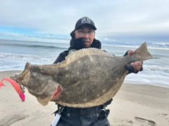 ヒラメの釣果