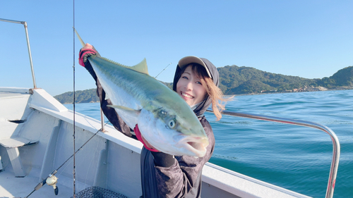 ブリの釣果