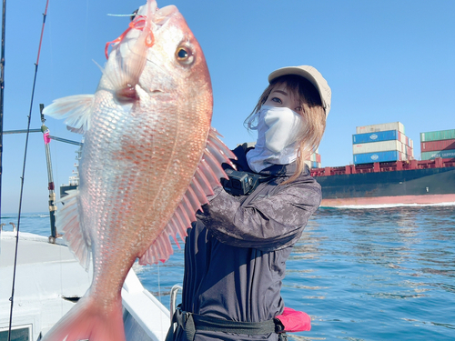 マダイの釣果