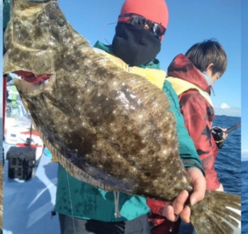 ヒラメの釣果