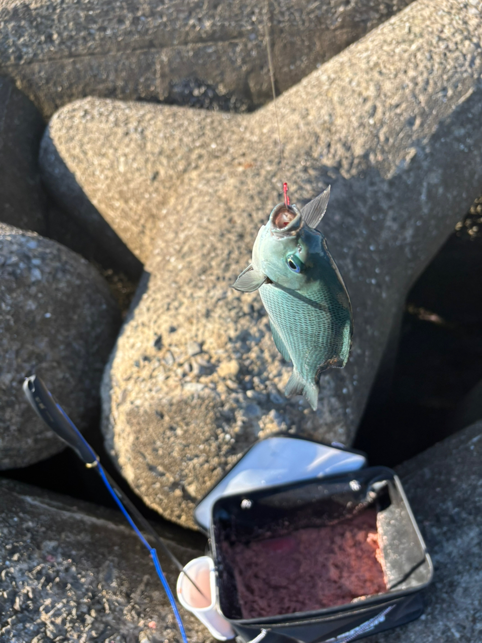 SHIMANO ツインパルサー SZⅡの最安値・インプレ・釣果 | 本音の SHIMANO ツインパルサー SZⅡの最安値・インプレ・釣果 | 本音の