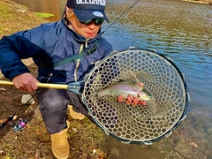 レインボートラウトの釣果