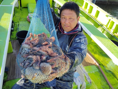 マダコの釣果