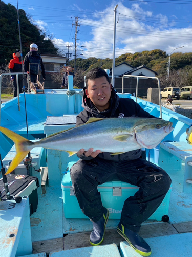 ブリの釣果