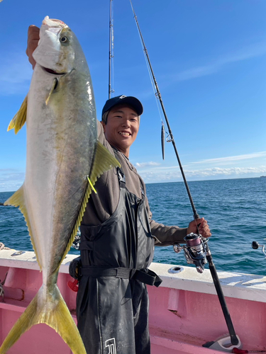 ヒラマサの釣果