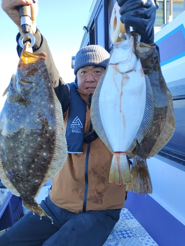 ヒラメの釣果