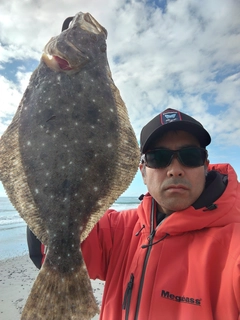 ヒラメの釣果