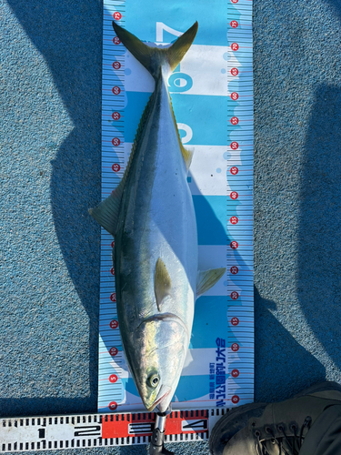 新地町海釣り公園