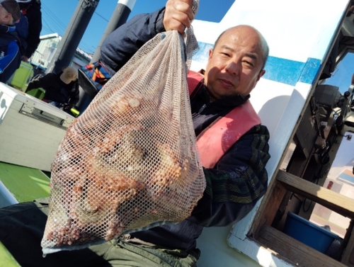 マダコの釣果