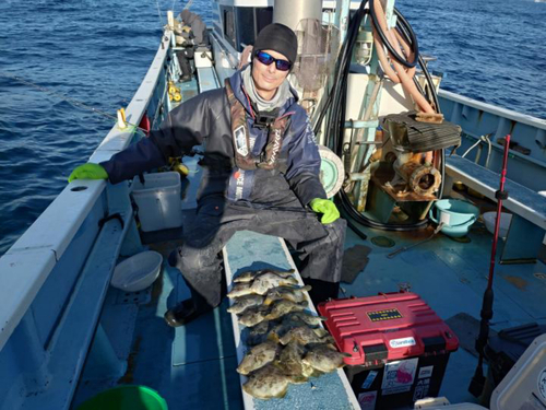 カワハギの釣果