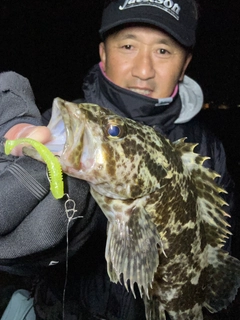 タケノコメバルの釣果