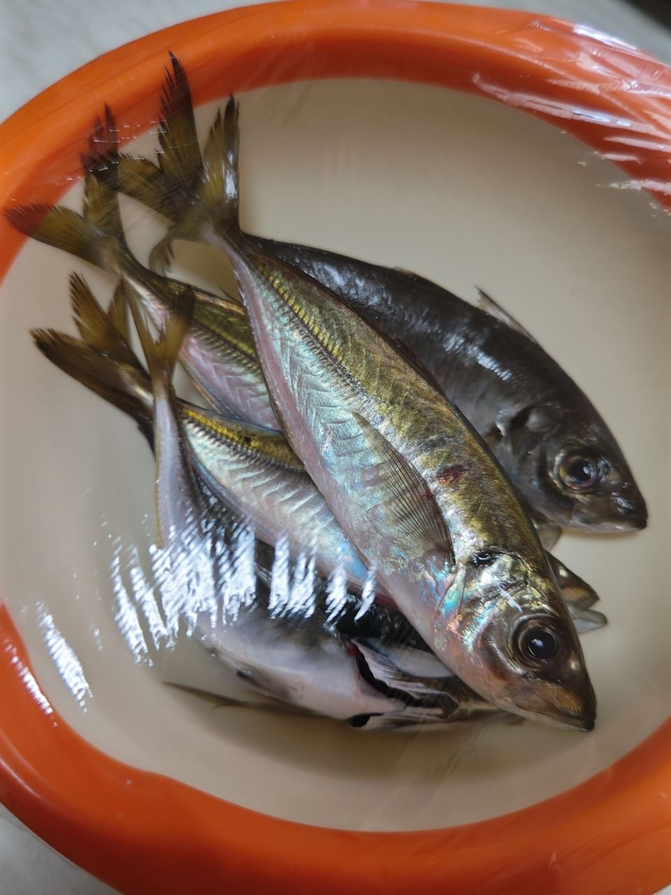 アジ