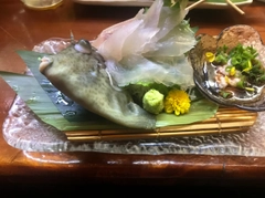 カワハギの釣果