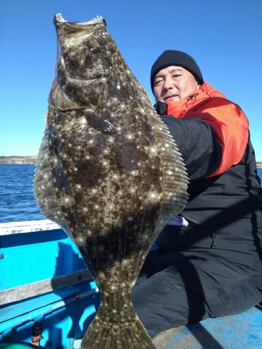 ヒラメの釣果