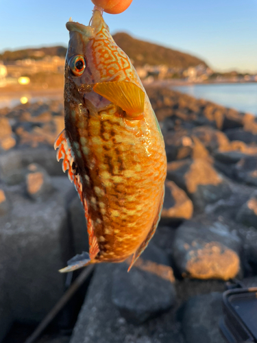 釣果