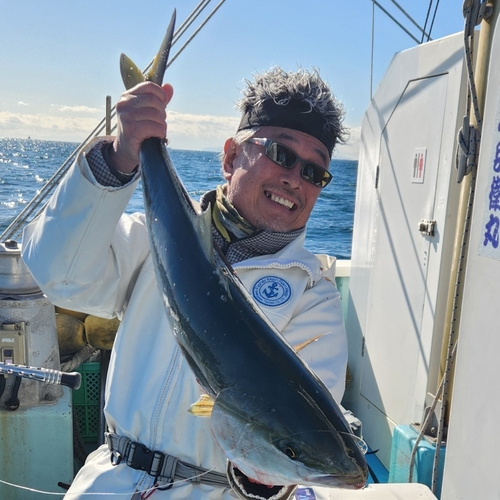 ブリの釣果