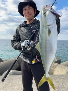 ハマチの釣果