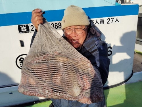 マダコの釣果