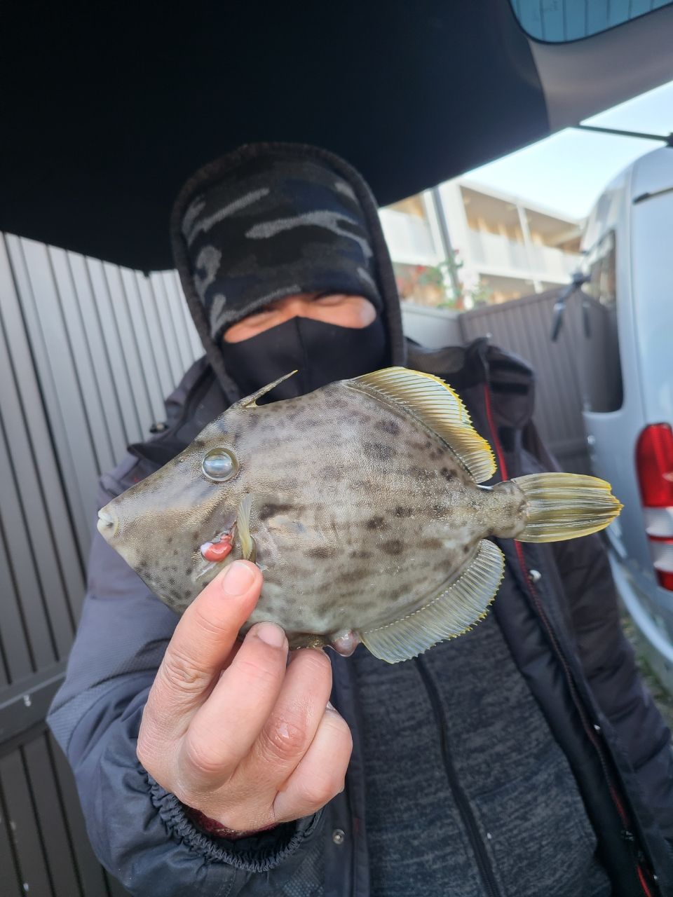 ホランドさんの釣果 1枚目の画像