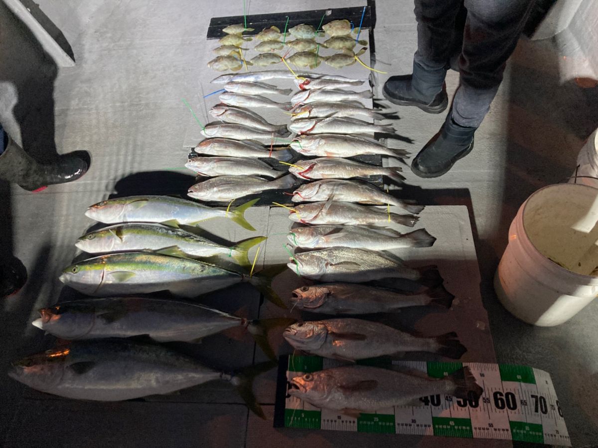 おおわしさんの釣果 3枚目の画像