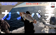 カンパチの釣果