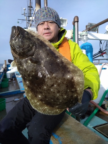 ヒラメの釣果