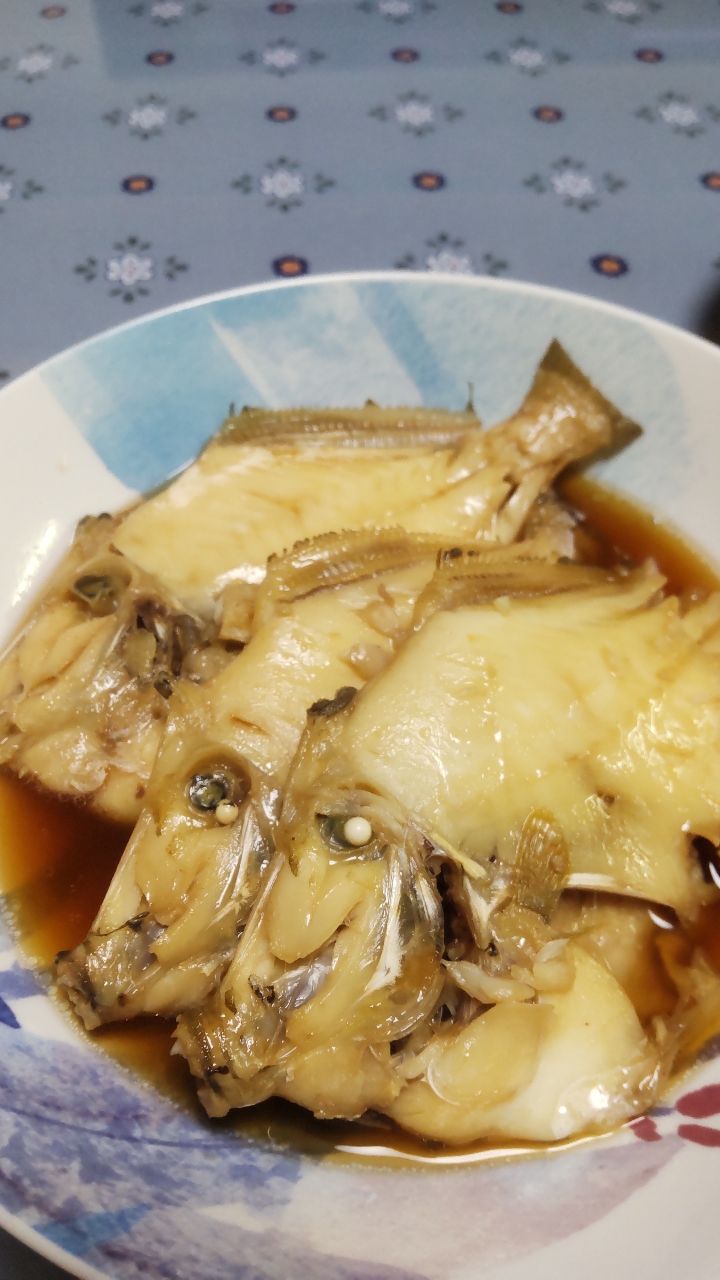 イカ時々魚さんの釣果 2枚目の画像