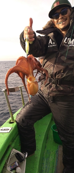 タコの釣果