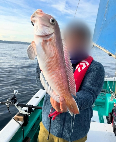 シロアマダイの釣果