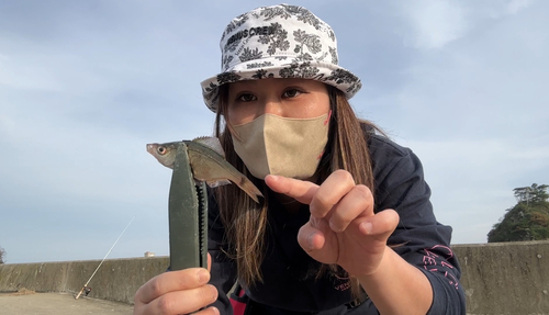 タナゴの釣果