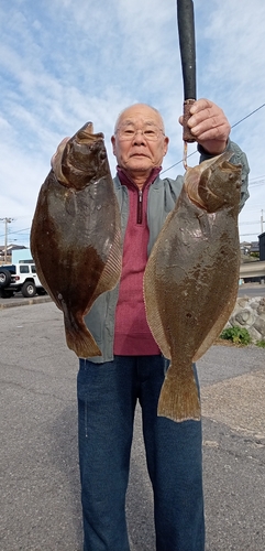 ヒラメの釣果