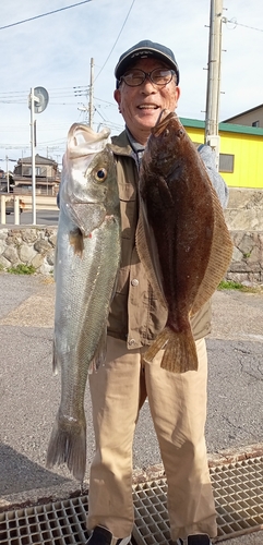 ヒラメの釣果