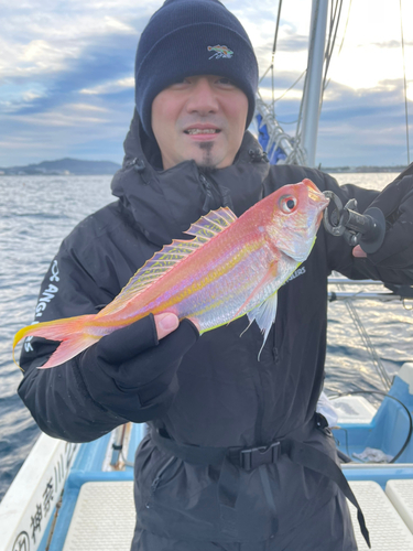 イトヨリダイの釣果