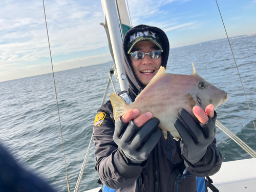 アマダイの釣果