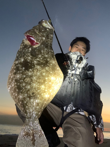 ヒラメの釣果