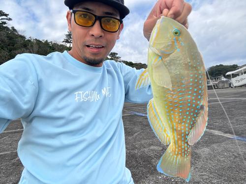 ツチホゼリの釣果