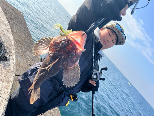 トウベツカジカの釣果