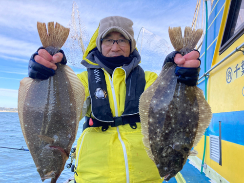 ヒラメの釣果