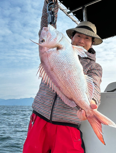 マダイの釣果